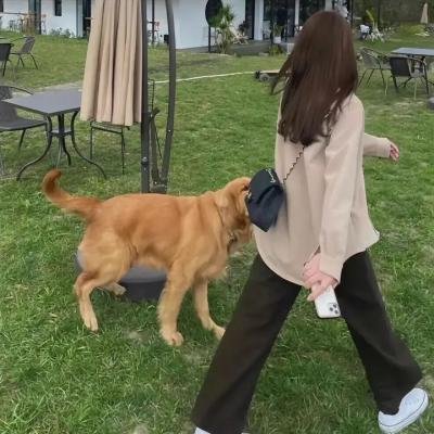 暗芝居第三季
